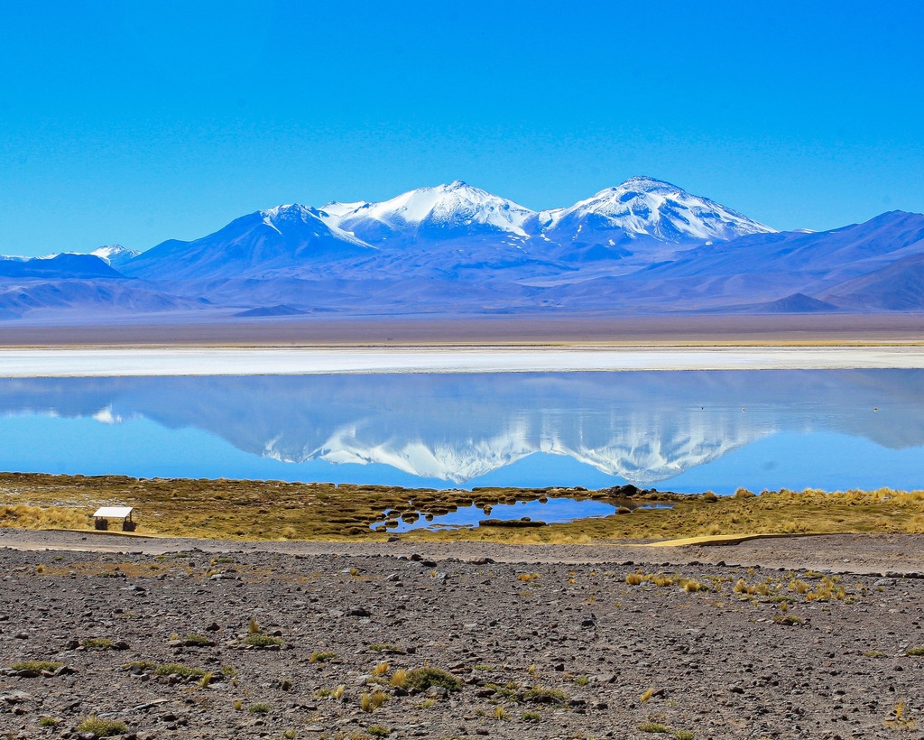 Atacama Andina