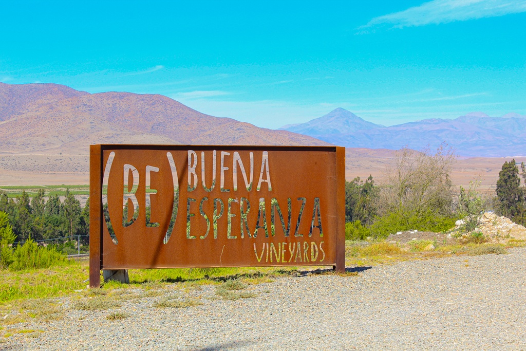 Enoturismo Valle del Huasco
